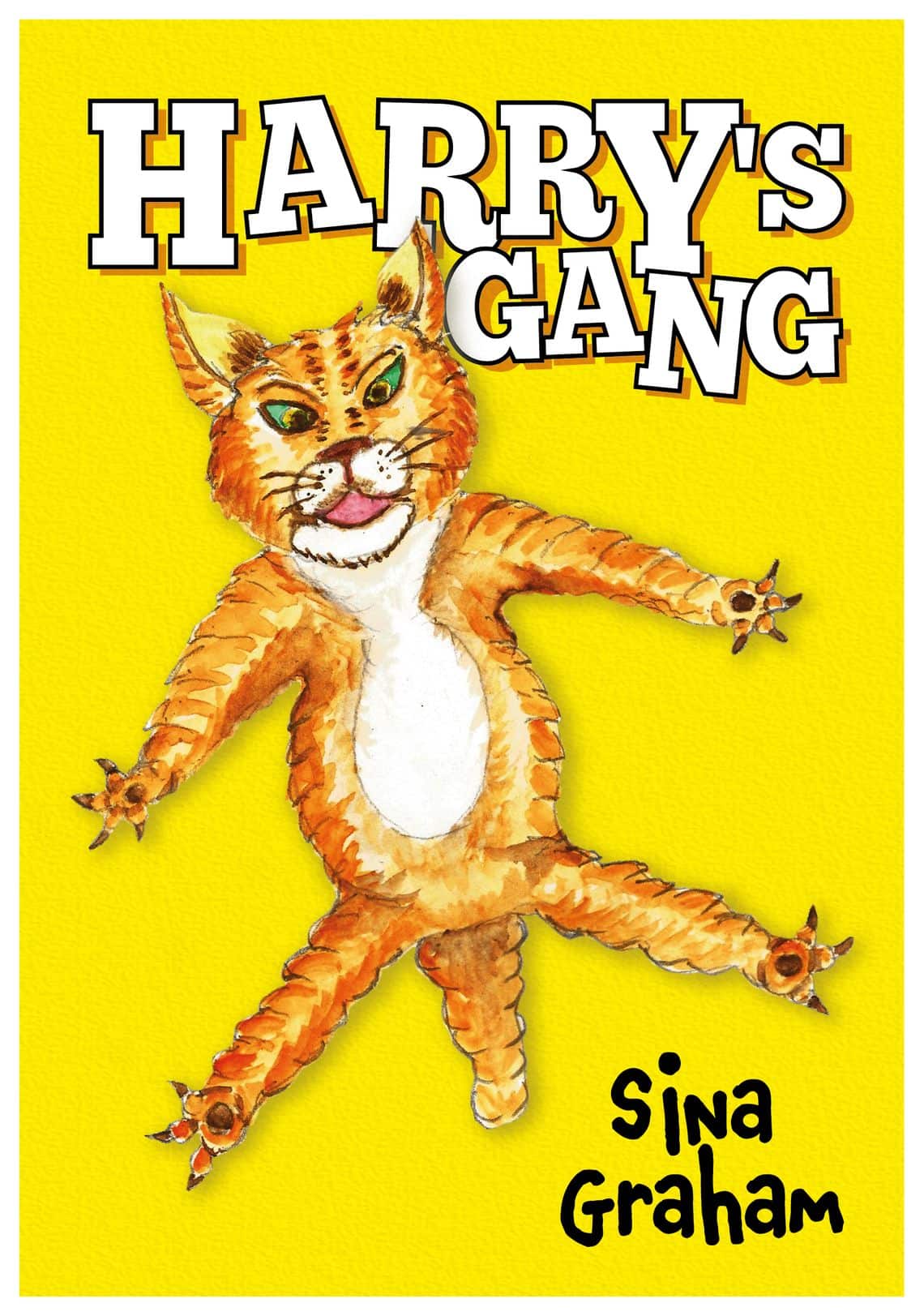 Harry's Gang by Sina Graham