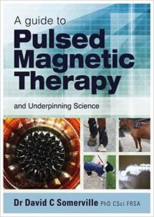 Pulsed magnetic therapy